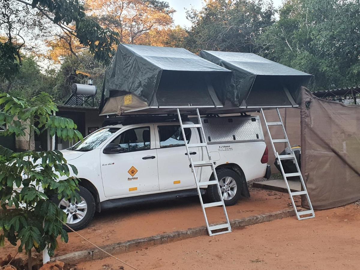 Victoria Falls Backpackers Lodge- Camp Sites Eksteriør billede
